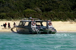 water taxi tasman